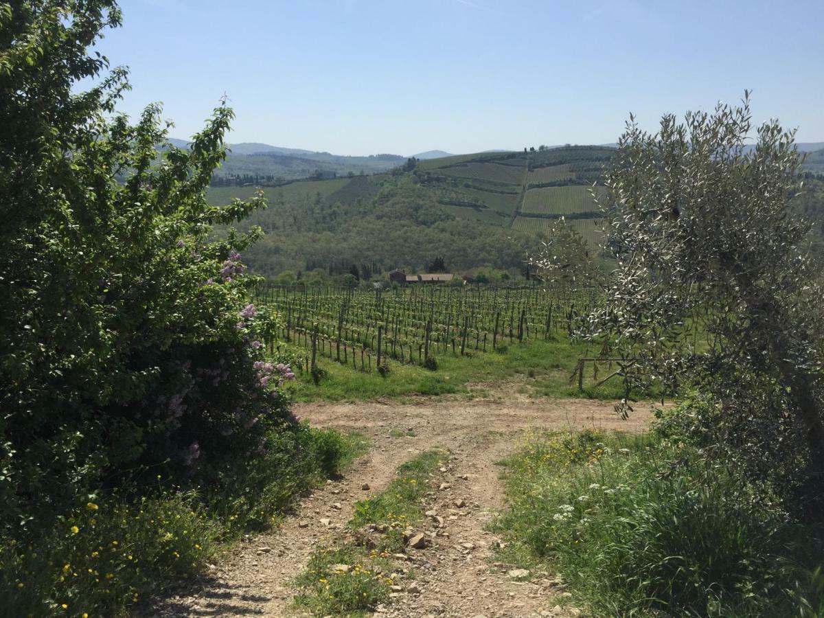 Casa Ana Lejlighed Greve in Chianti Eksteriør billede