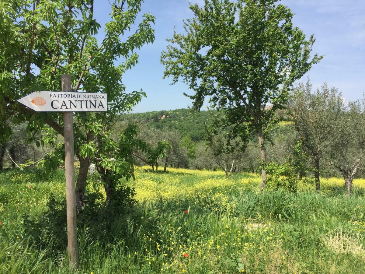 Casa Ana Lejlighed Greve in Chianti Eksteriør billede